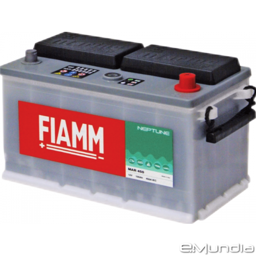  Аккумулятор  FIAMM 100 Ач  850А  350/176/190     